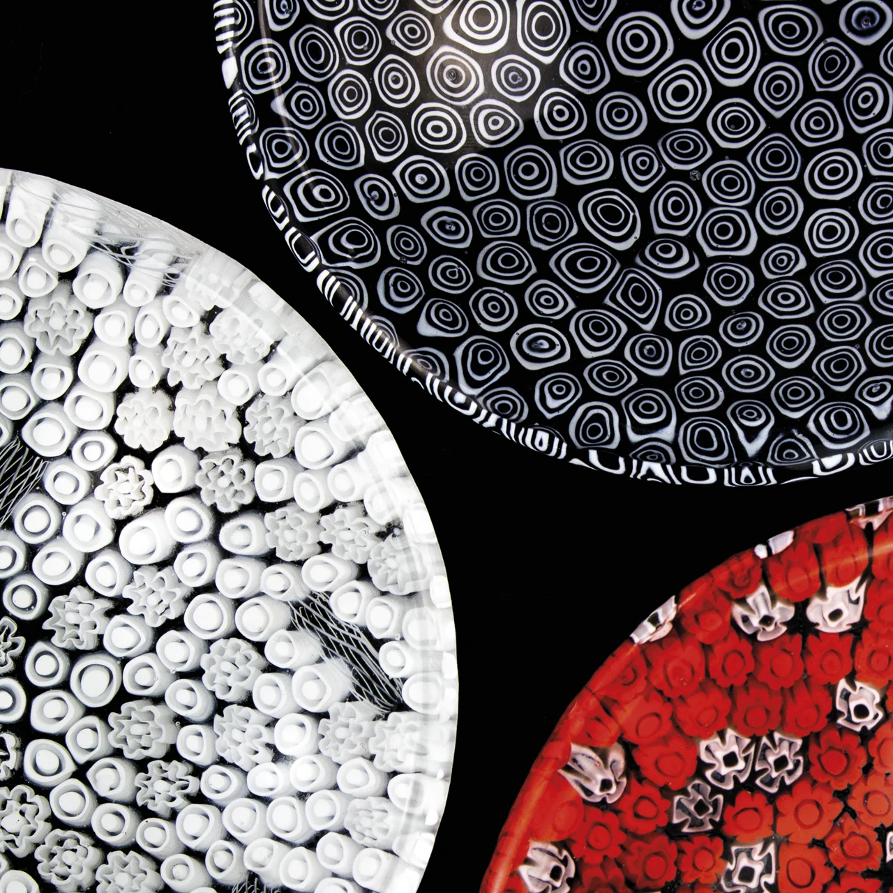 Wir haben für Idzne gearbeitet