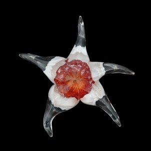 Stella Marina - Rossa - Vetro di Murano Originale OMG