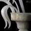 Wall Lamp Calla White + Gold - 1 light - Original Murano Glass 