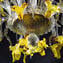 Venetian Ceiling lamp - Yellow chrysanthemum - Luxury Collection