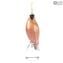 Pink Parrot - Glass Sculpture - Original Murano Glass OMG