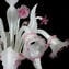Venetian Chandelier Gemma Rose and White - Classique - Original Murano Glass